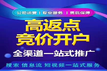 百度广告投放策略优化及成功案例解析